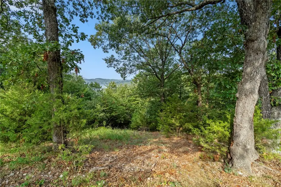 Lot 10 Hillcrest Road, Eureka Springs, AR 72631 - #3
