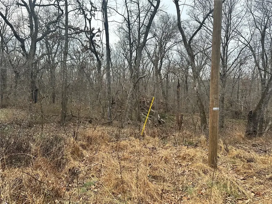 Lot 16 Coalburn Circle, Bella Vista, AR 72715 - Image #3