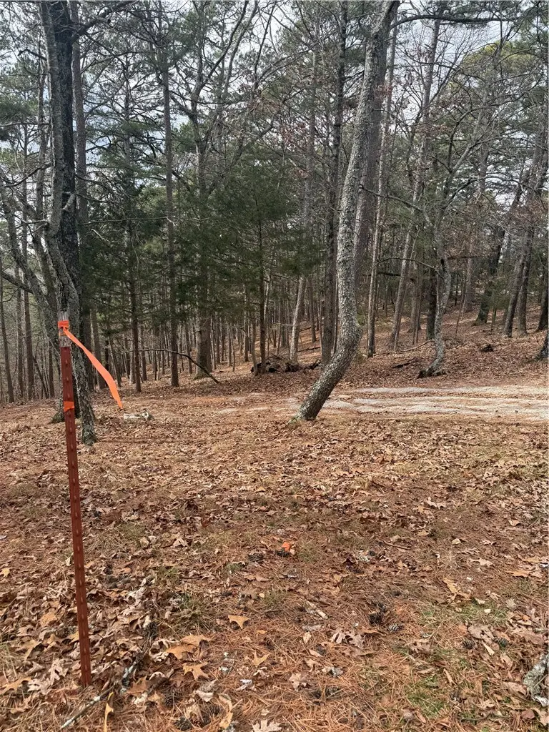 E Mountain Drive, Eureka Springs, AR 72632 - Image #1