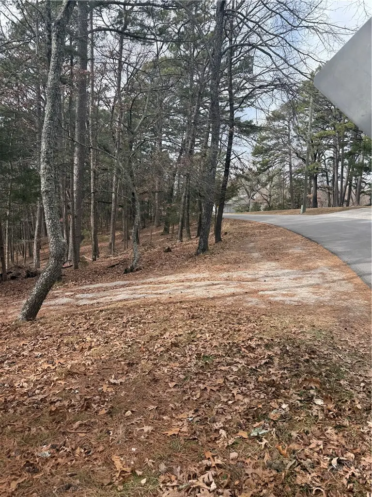 E Mountain Drive, Eureka Springs, AR 72632 - Image #2