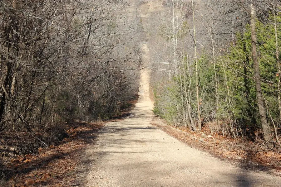 Cr 6012, Berryville, AR 72616 - #2