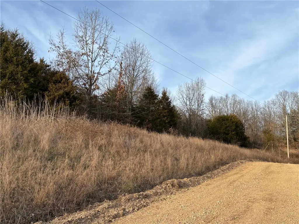 Tract B Eubanks Drive, Harrison, AR 72601 - #1