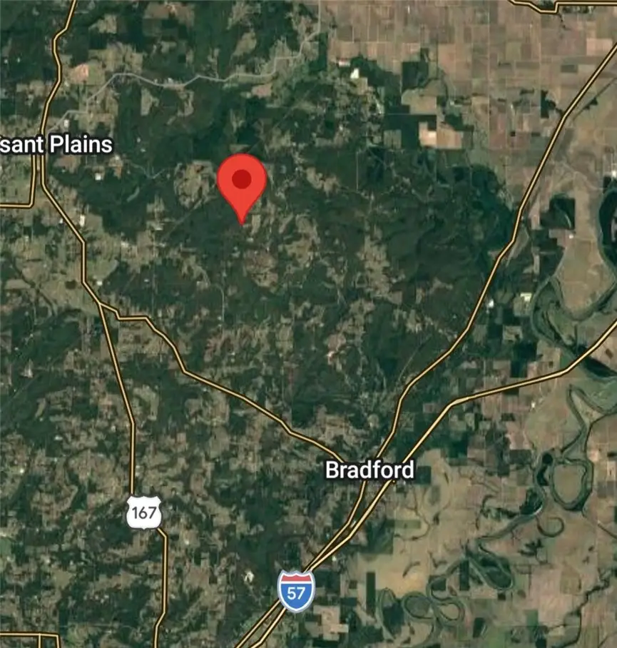 250 Burg Lane, Barren, AR 72020 - #2