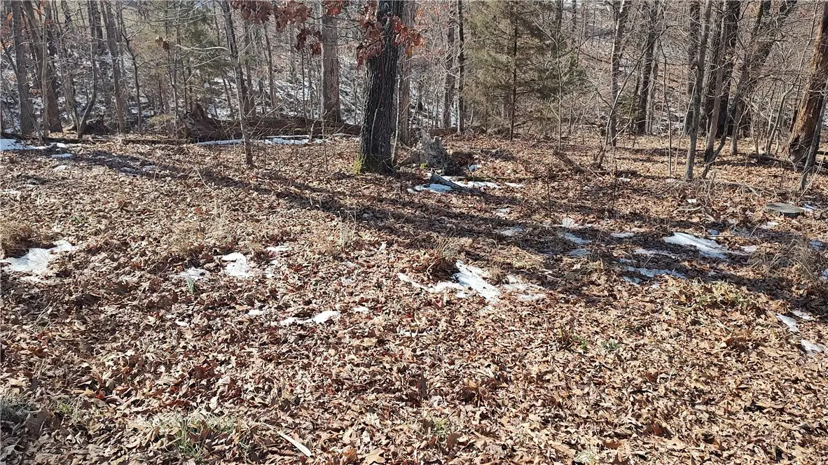 Donington Lane, Bella Vista, AR 72714 - #1