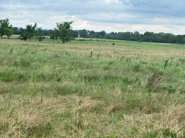 5.66 AC E Pridemore Drive, Lincoln, AR 72744 - #3