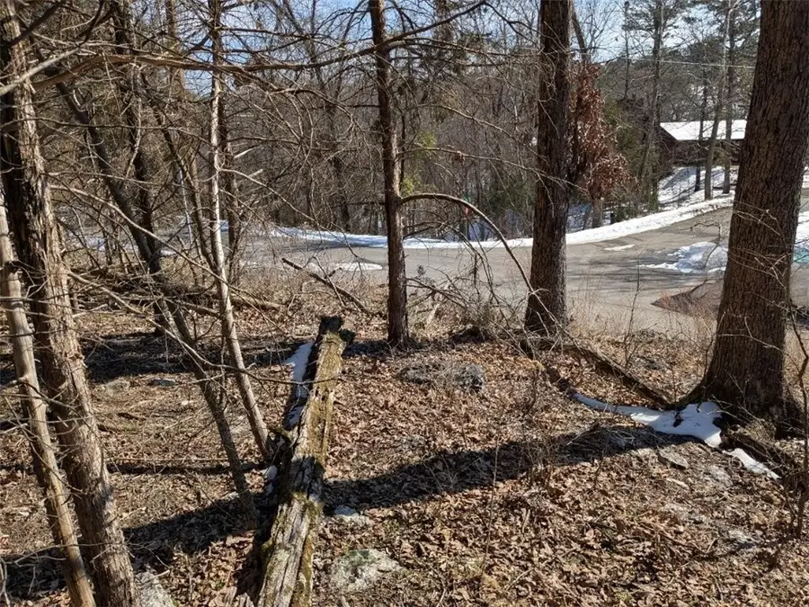 TBD Merion Drive, Holiday Island, AR 72631 - #3