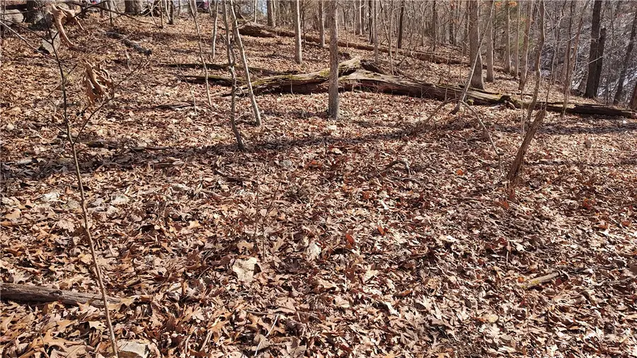 11 Donington Lane, Bella Vista, AR 72714 - #2