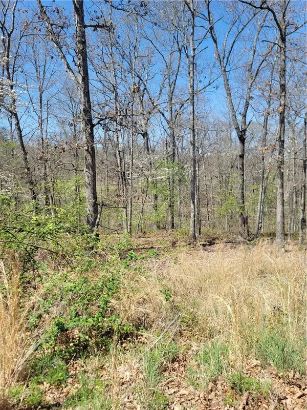 Ayton Lane, Bella Vista, AR 72714