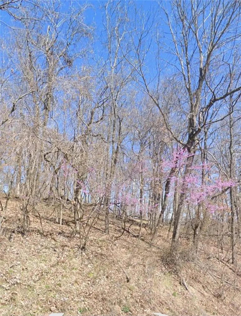 5.16 Acres Summit Drive, Holiday Island, AR 72631 - #1