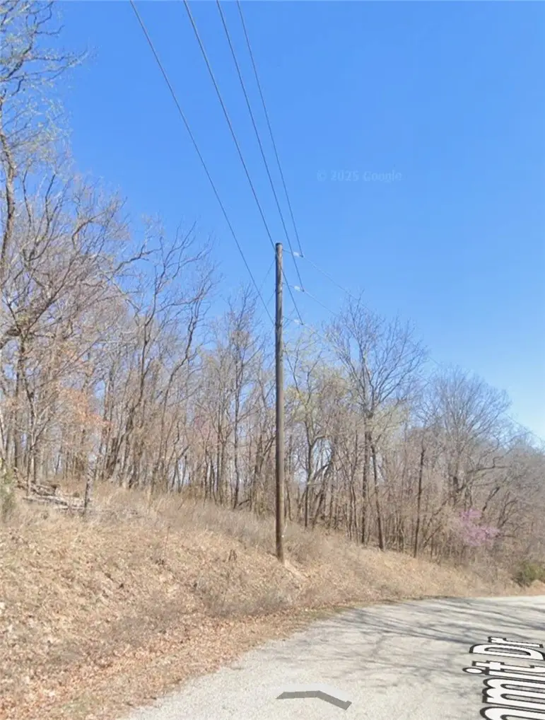 5.16 Acres Summit Drive, Holiday Island, AR 72631 - #3