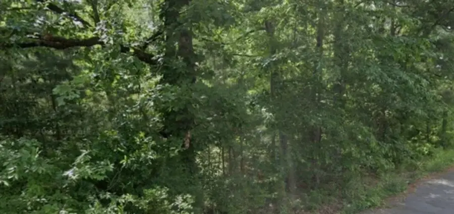 Lot 009 N Norman Street, Pine Bluff, AR 71602 - Image #2