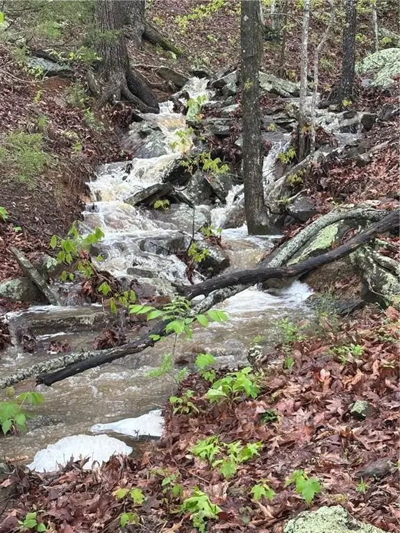 TBD 11.42 AC Slaty Gap Road, West Fork, AR 72774 - #2