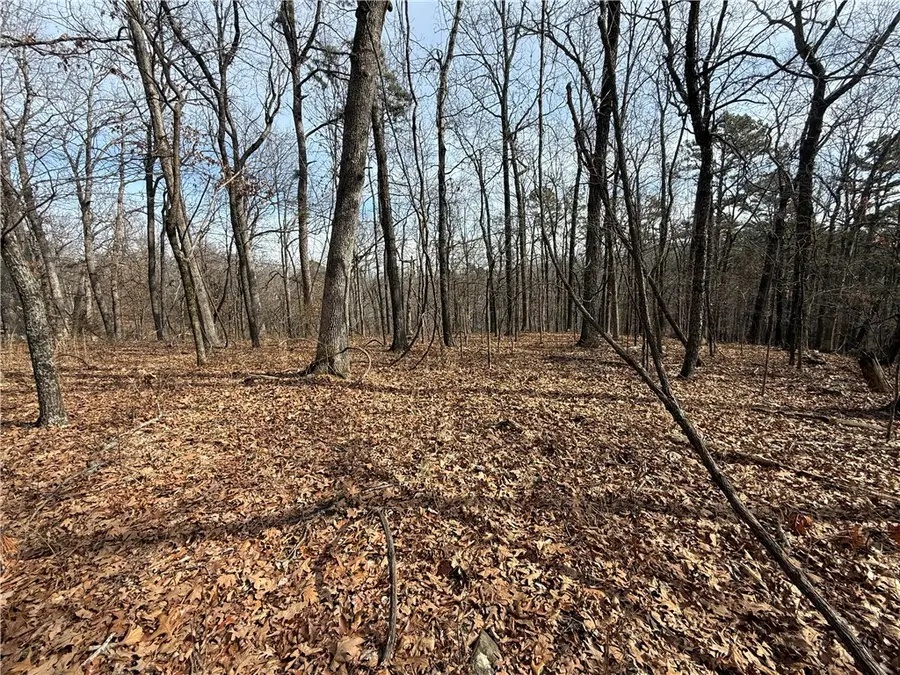 Address Withheld By Seller, Eureka Springs, AR 72632 - #2