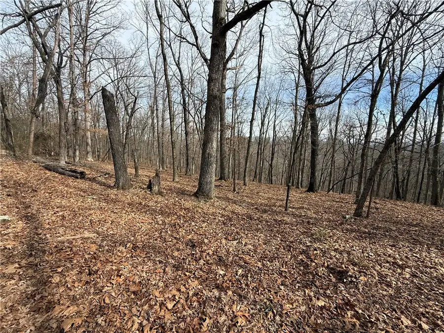 Tract 3 Cardinal Ridge Road, Eureka Springs, AR 72632 - #2