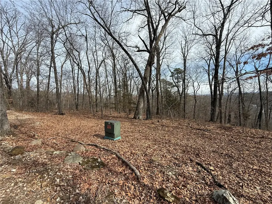 Tract 4 Cardinal Ridge Road, Eureka Springs, AR 72632 - #2