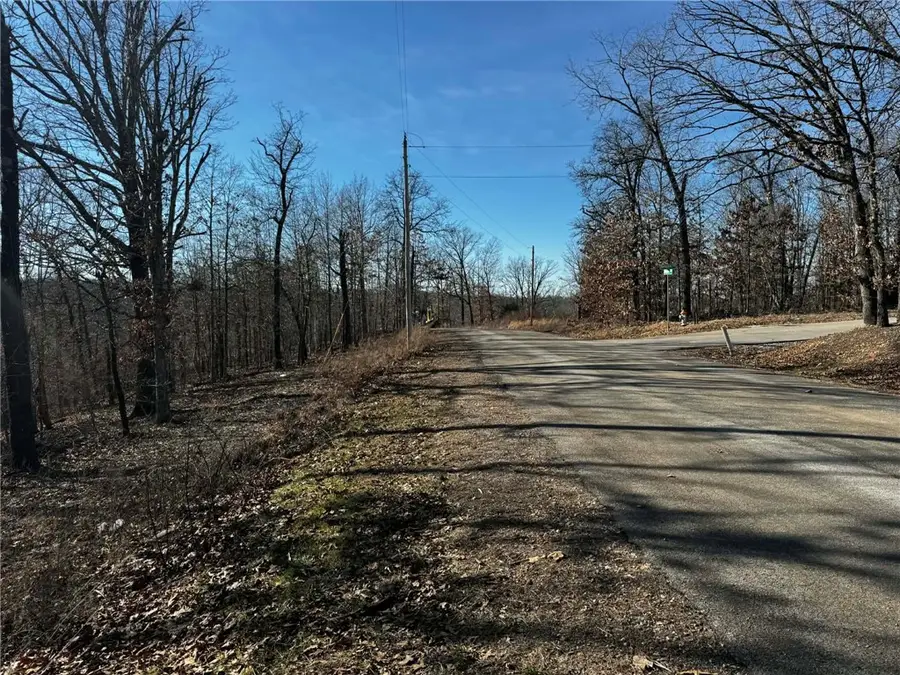 Lot 16 Montgomery Lane, Bella Vista, AR 72715 - #2