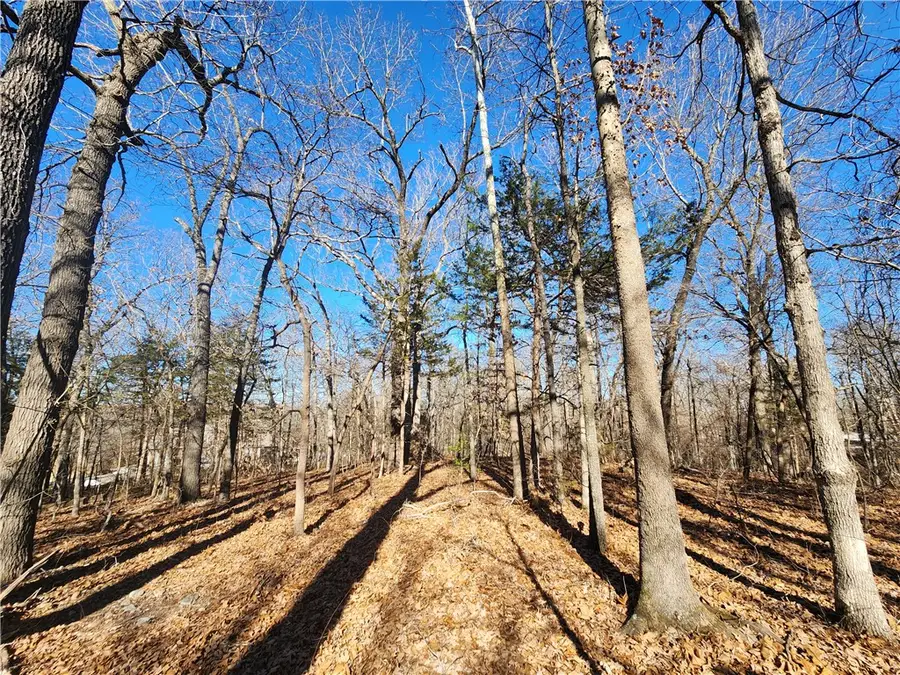 Stonehedge Drive, Harrison, AR 72601 - #3