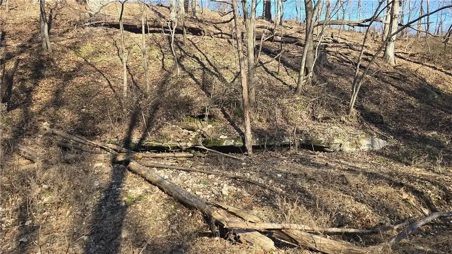 11796 Leonard Road, Gravette, AR 72736 - #2