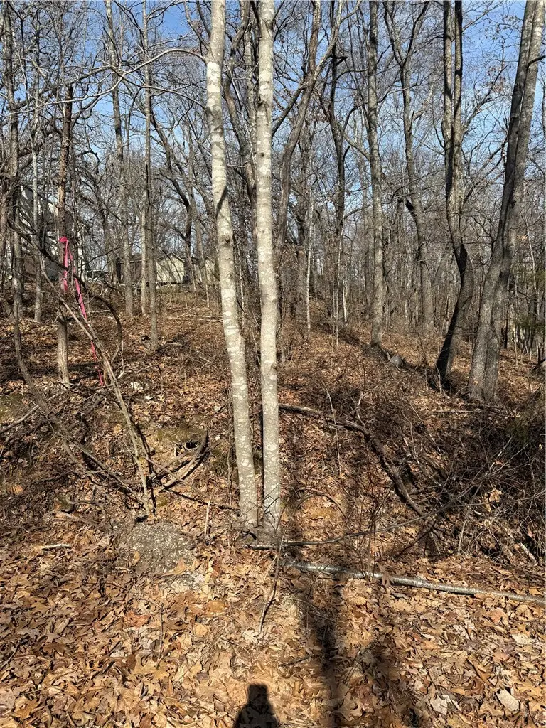 11 Pamela Lane, Bella Vista, AR 72715 - #3