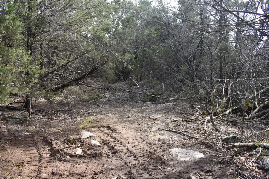 * Cedar Creek Road, Flippin, AR 72634 - #3