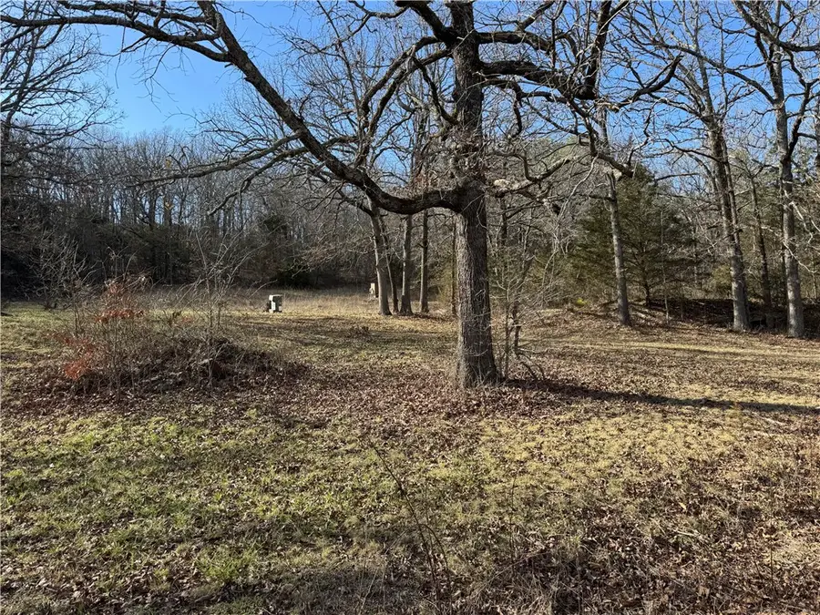 15451 Winn Creek Road, West Fork, AR 72774 - #2