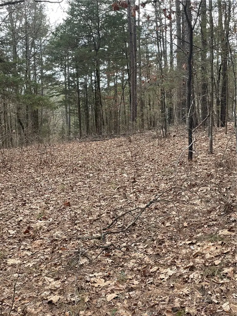 Duvall Road, Russellville, AR 72802 - #2