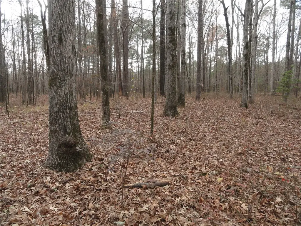 26020 Hensley Loop, Hensley, AR 72065 - #1