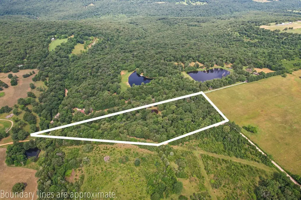 Carter Road, West Fork, AR 72774 - #1