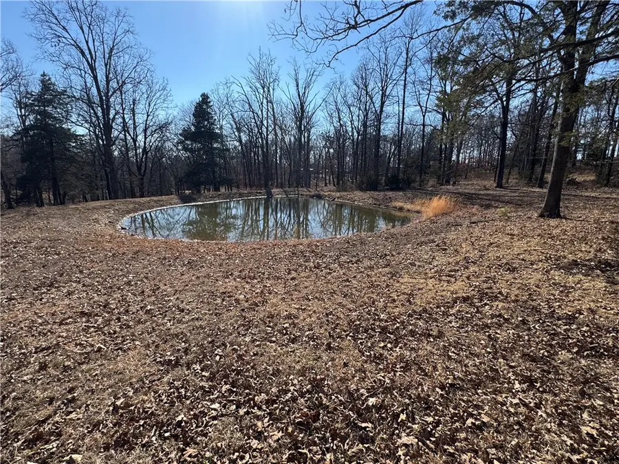 Carter Road, West Fork, AR 72774 - #2