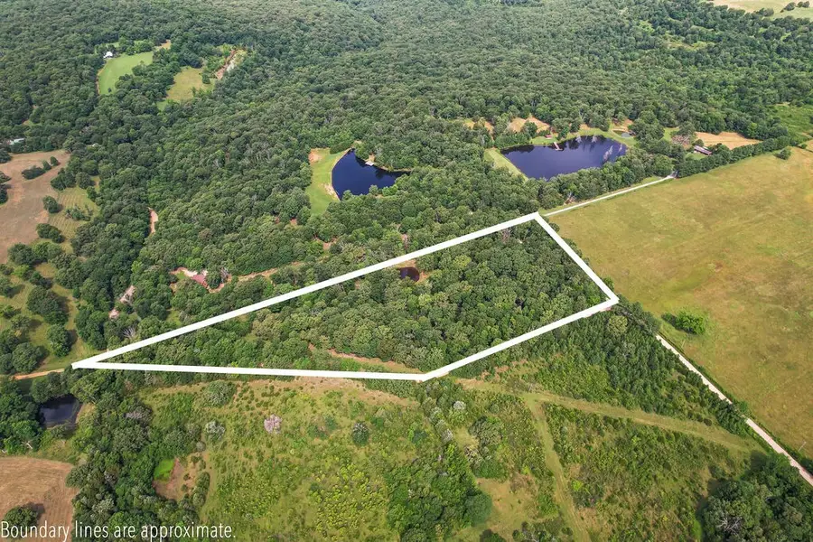 Carter Road, West Fork, AR 72774 - #3