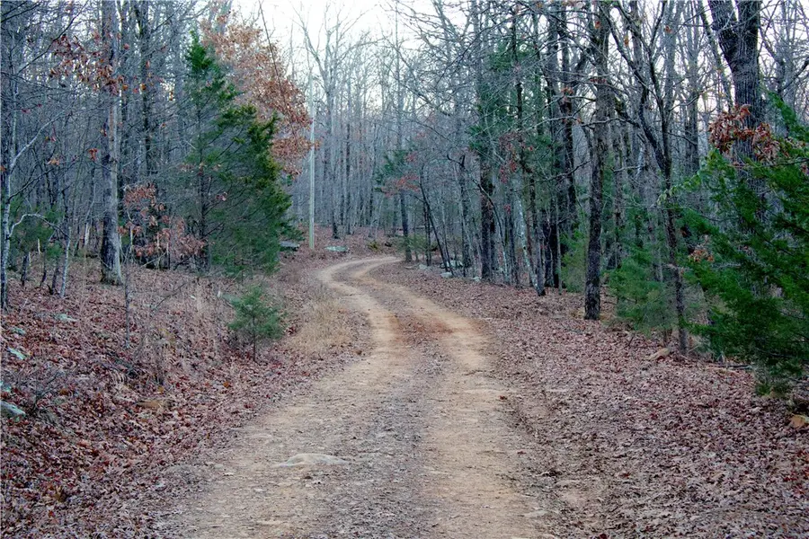 17.5 +/- Acres Price Road, Winslow, AR 72959 - #2