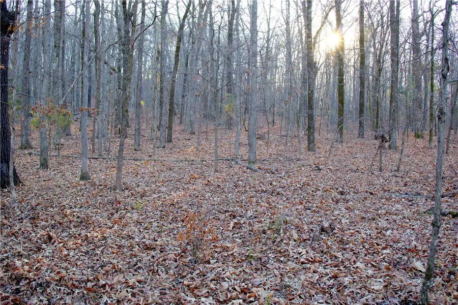 17.5 +/- Acres Price Road, Winslow, AR 72959 - #3