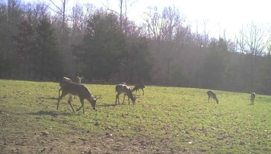 3285 Madison Cr 3205, Pettigrew, AR 72752 - #2