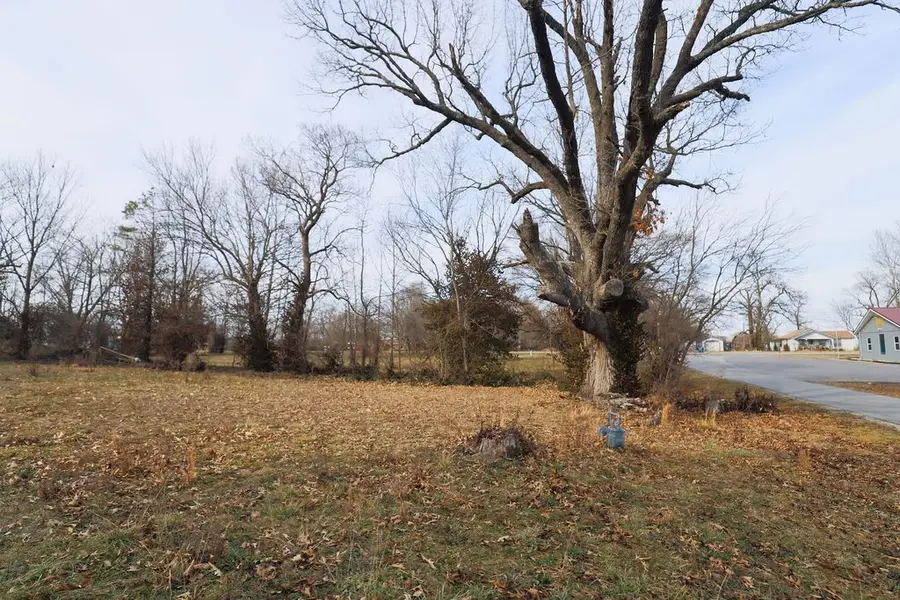 11881 Walker Street, Gentry, AR 72734 - #3