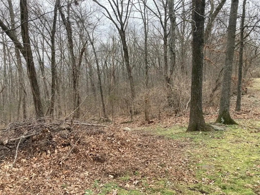 000 W Circle Drive, Greenland, AR 72701 - #1