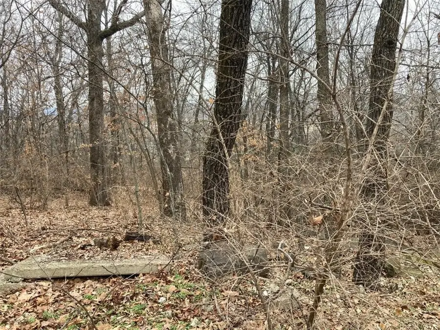 000 W Circle Drive, Greenland, AR 72701 - #3