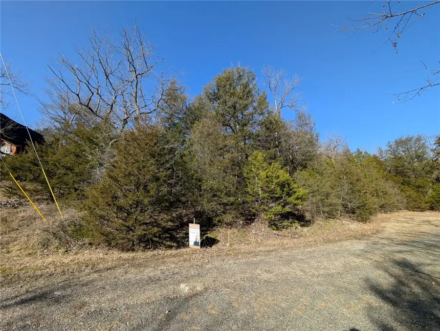 TBD Beaver Cove, Holiday Island, AR 72631 - #3