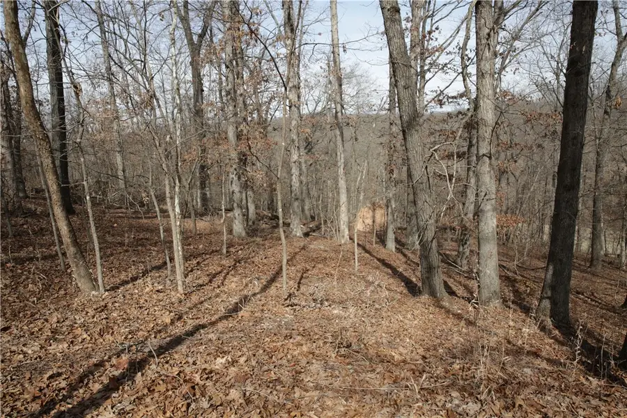 Lot 11 Kirkpatrick Way, Bella Vista, AR 72715 - #2