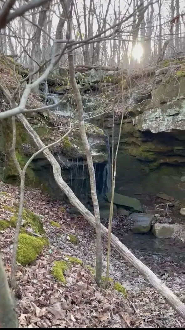 TBD 000 Plumlee Rd, Compton, AR 72611 - #2