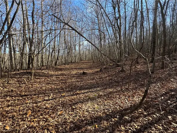 TBD 001 Plumlee Rd, Compton, AR 72611