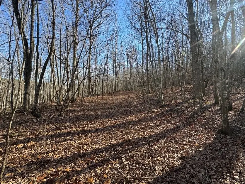 TBD 002 Plumlee Rd, Compton, AR 72611 - #2