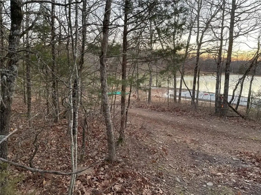 TBD 002 Plumlee Rd, Compton, AR 72611 - #3