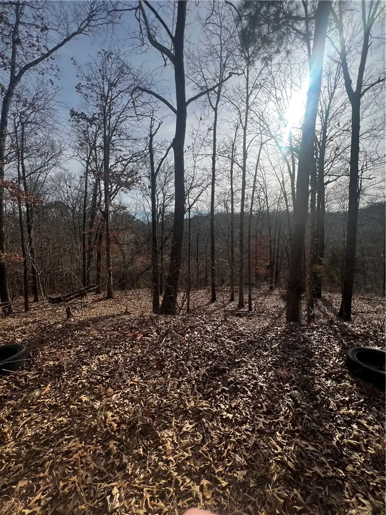 5 Lune Lane, Bella Vista, AR 72714 - #2