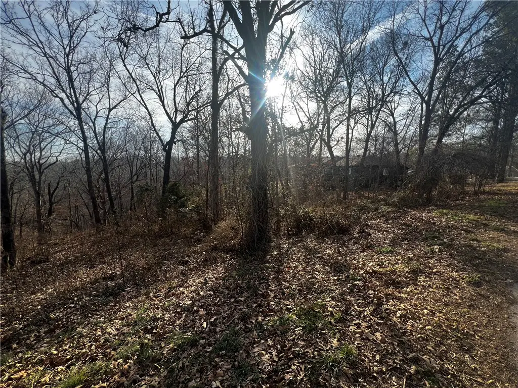 11 Oak Knoll Lane, Bella Vista, AR 72715 - #1