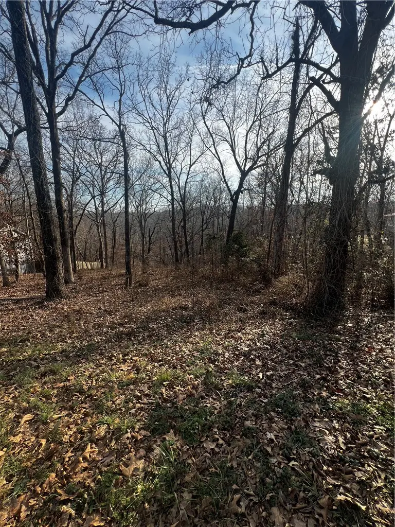 11 Oak Knoll Lane, Bella Vista, AR 72715 - #3