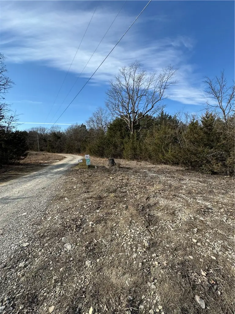 001-00905-001 Thousand Oaks Road, Yellville, AR 72687 - #2