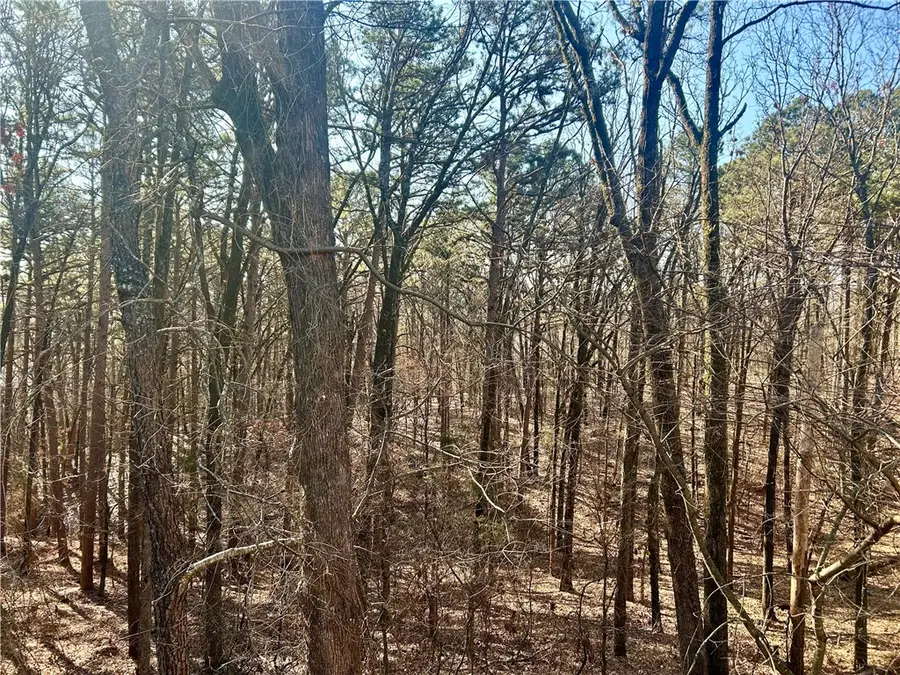 High Point Trail, Clarksville, AR 72830 - #2