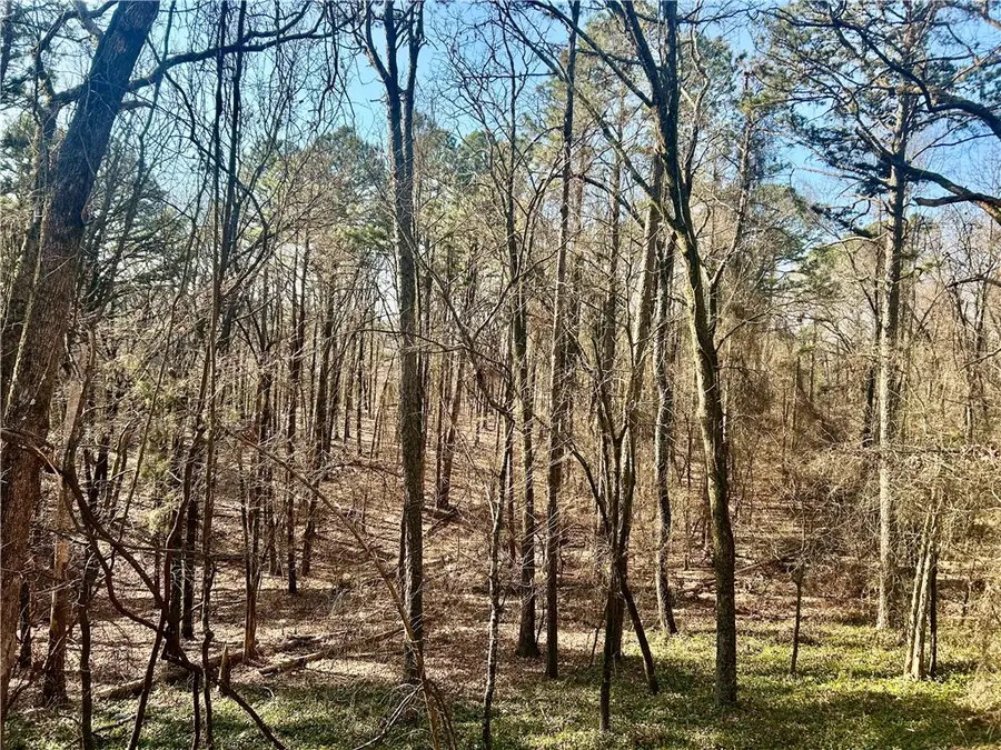 High Point Trail, Clarksville, AR 72830 - #3