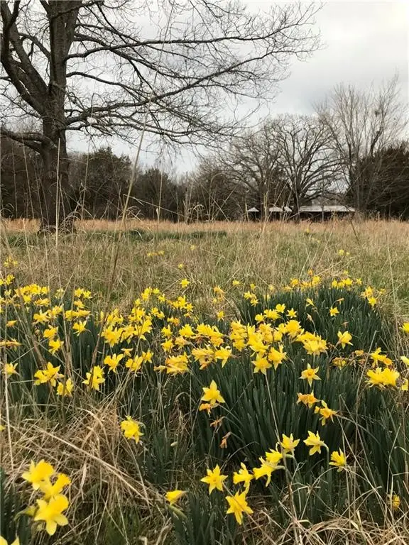 TBD Blue Springs Road, Goshen, AR 72735 - #3