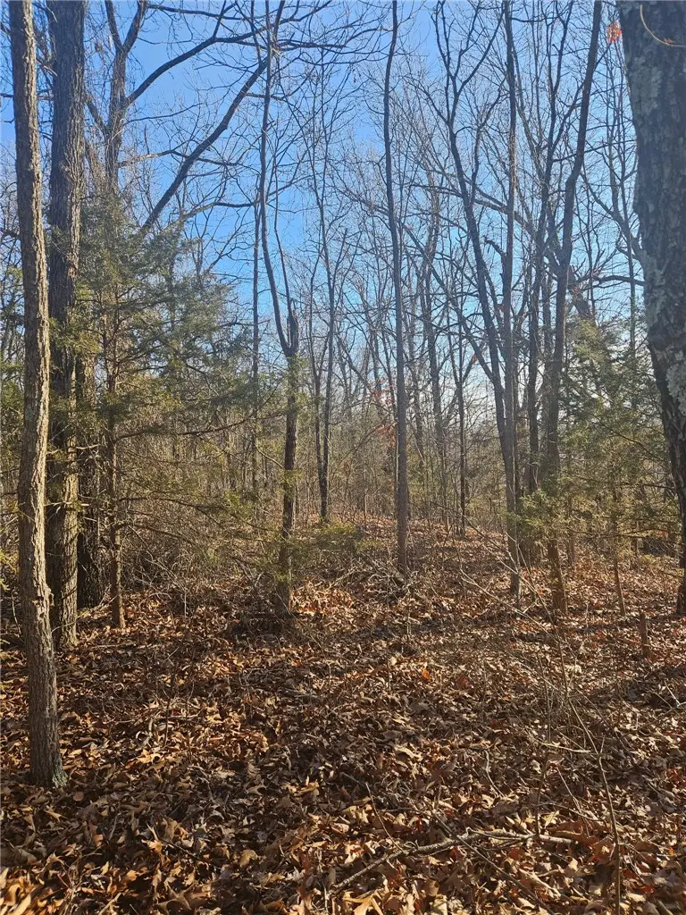 Poley Trail, Omaha, AR 72662 - #3